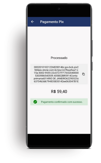 Pix Verificação Automática DevServiços